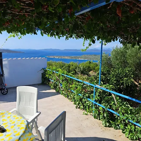 Hébergement de vacances Olivier House Zaglav