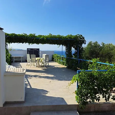 Hébergement de vacances Olivier House