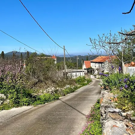 Hébergement de vacances Olivier House *