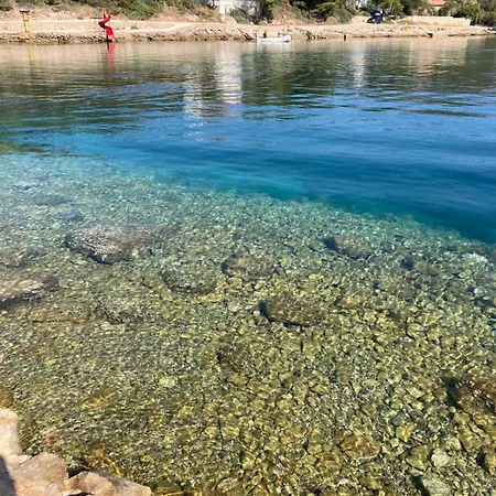 Olivier House Hébergement de vacances