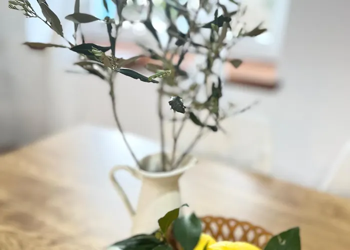 Hébergement de vacances Olivier House *