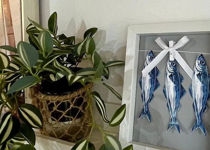 Olivier House Hébergement de vacances *