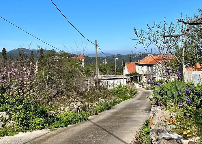 Hébergement de vacances Olivier House *