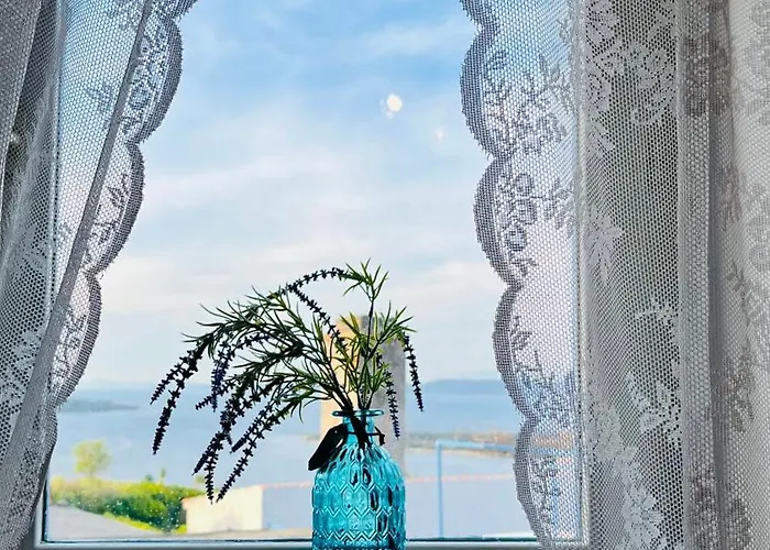 Olivier House 펜션