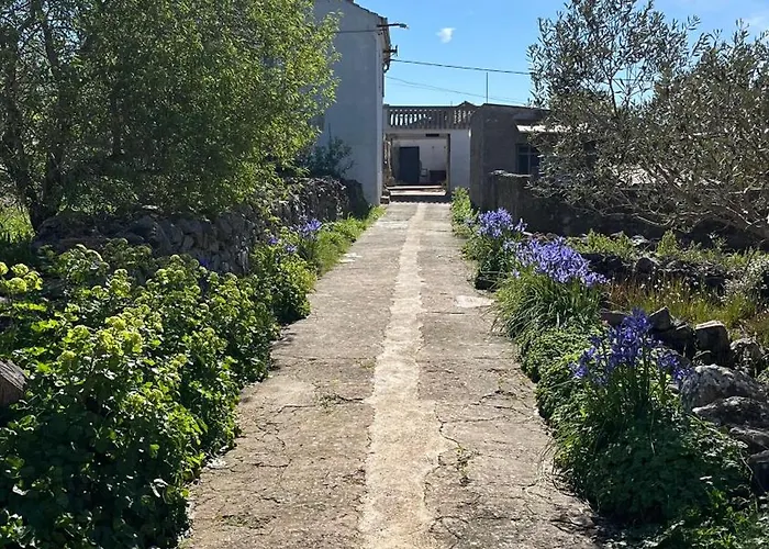 Olivier House Zaglav